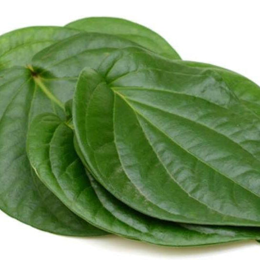Daun Sirih  Piper Betle Leaf (Dried and Powder)