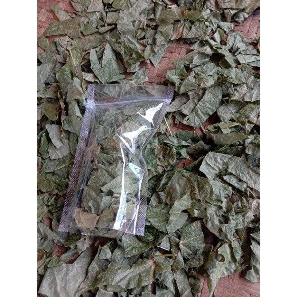 Daun Awar Awar - Ficus Septica Leaf (Powder and Dried)