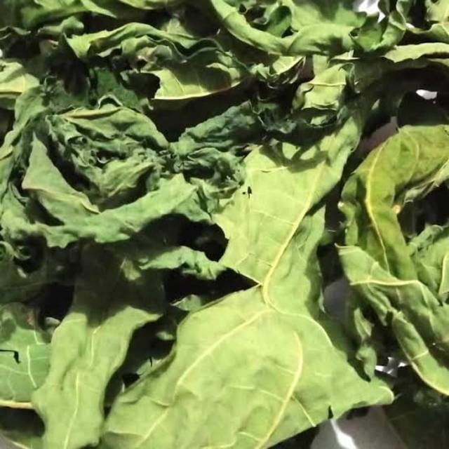 Daun Pepaya - Carica papaya Leaf (Dried and Powder)