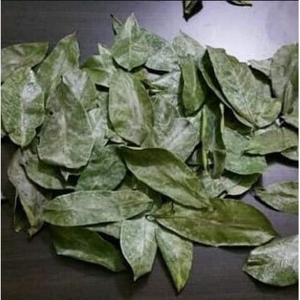 Daun Srikaya - Annona squamosa Leaf (Dried and Powder)