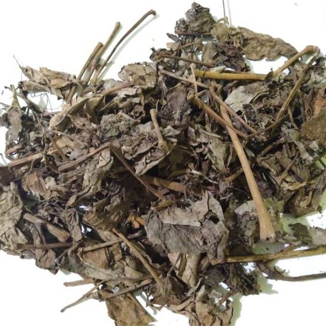 Daun Sirih  Piper Betle Leaf (Dried and Powder)