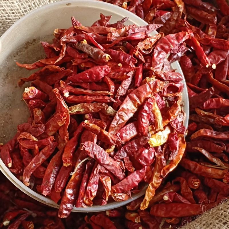 Cabai Rawit Merah - Capsicum frutescens L. (Dried and Powder)