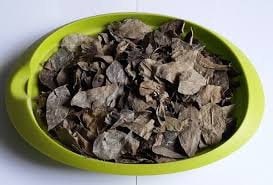 Daun Cermai - Phyllanthus acidus Leaf (Dried and Powder)