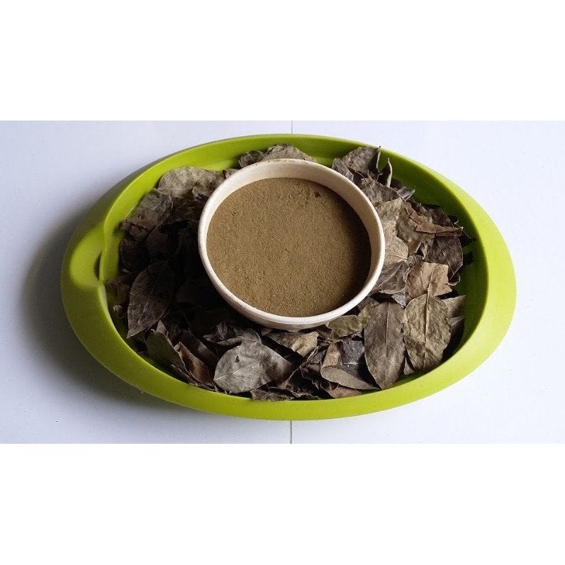 Daun Cermai - Phyllanthus acidus Leaf (Dried and Powder)