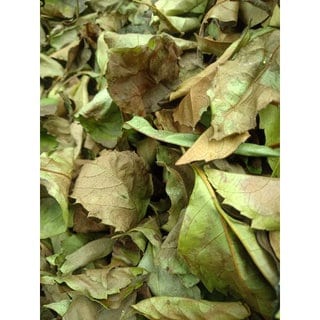 Daun Sinyo Nakal - Duranta erecta L, Duranta repens Auct. Non Jacq. Leaf (Dried and Powder)