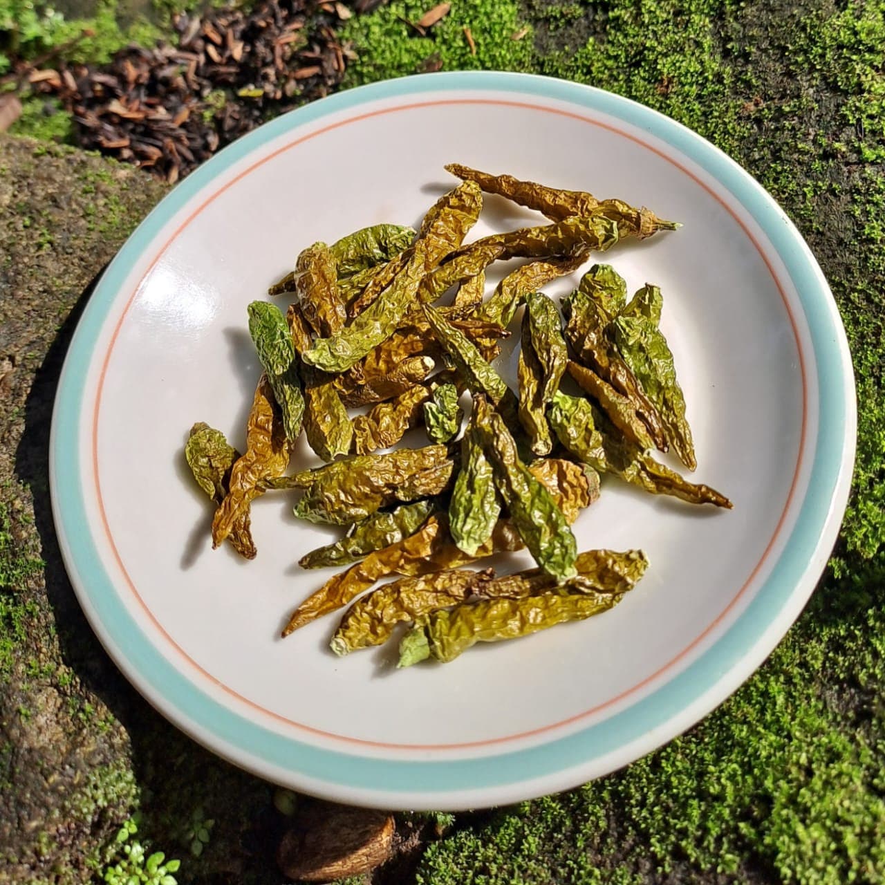 Cabai Rawit Hijau - Green Ceyenne Pepper (Capsicum frutescens L). (Dried and Powder)