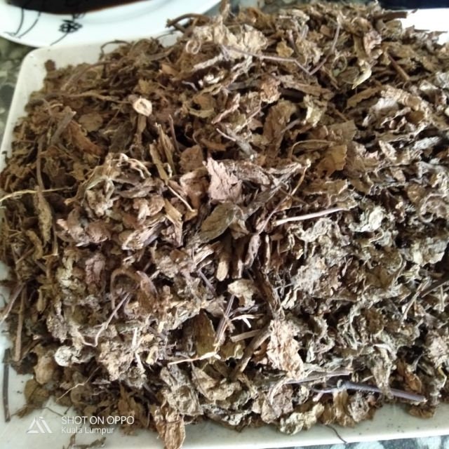 Daun Cincau - Cyclea barbata Miers (Dried and Powder)
