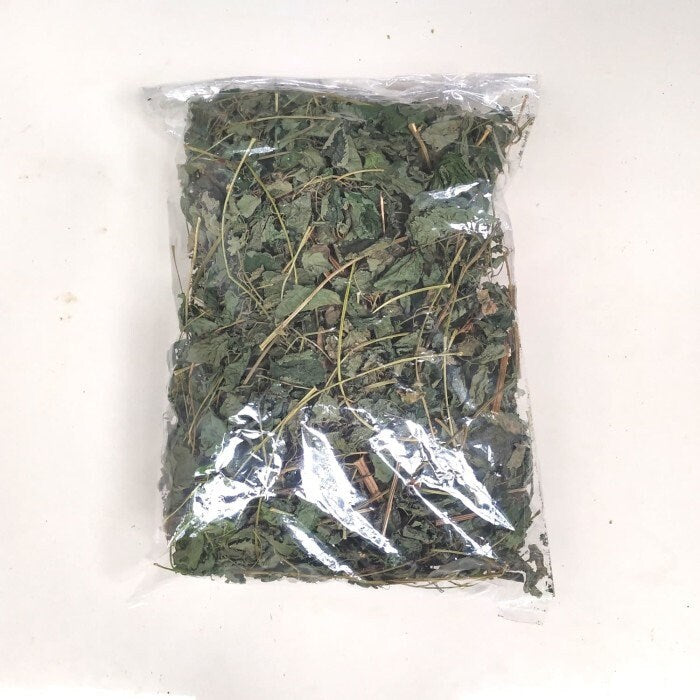 Jelatang - Laportea (Dried and Powder)