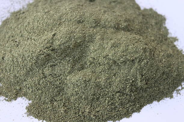 Jelatang - Laportea (Dried and Powder)