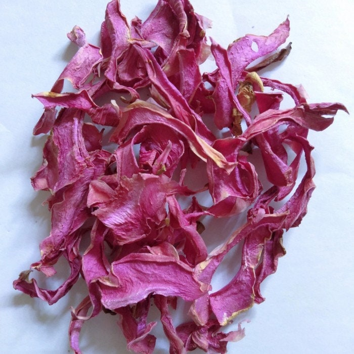 Buah Naga/Pitaya - Hylocereus polyrhizus (Dried and Powder)