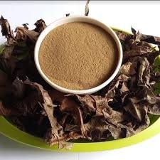 Daun Daruju - Acanthus ilicifolius L. (Dried and Powder)
