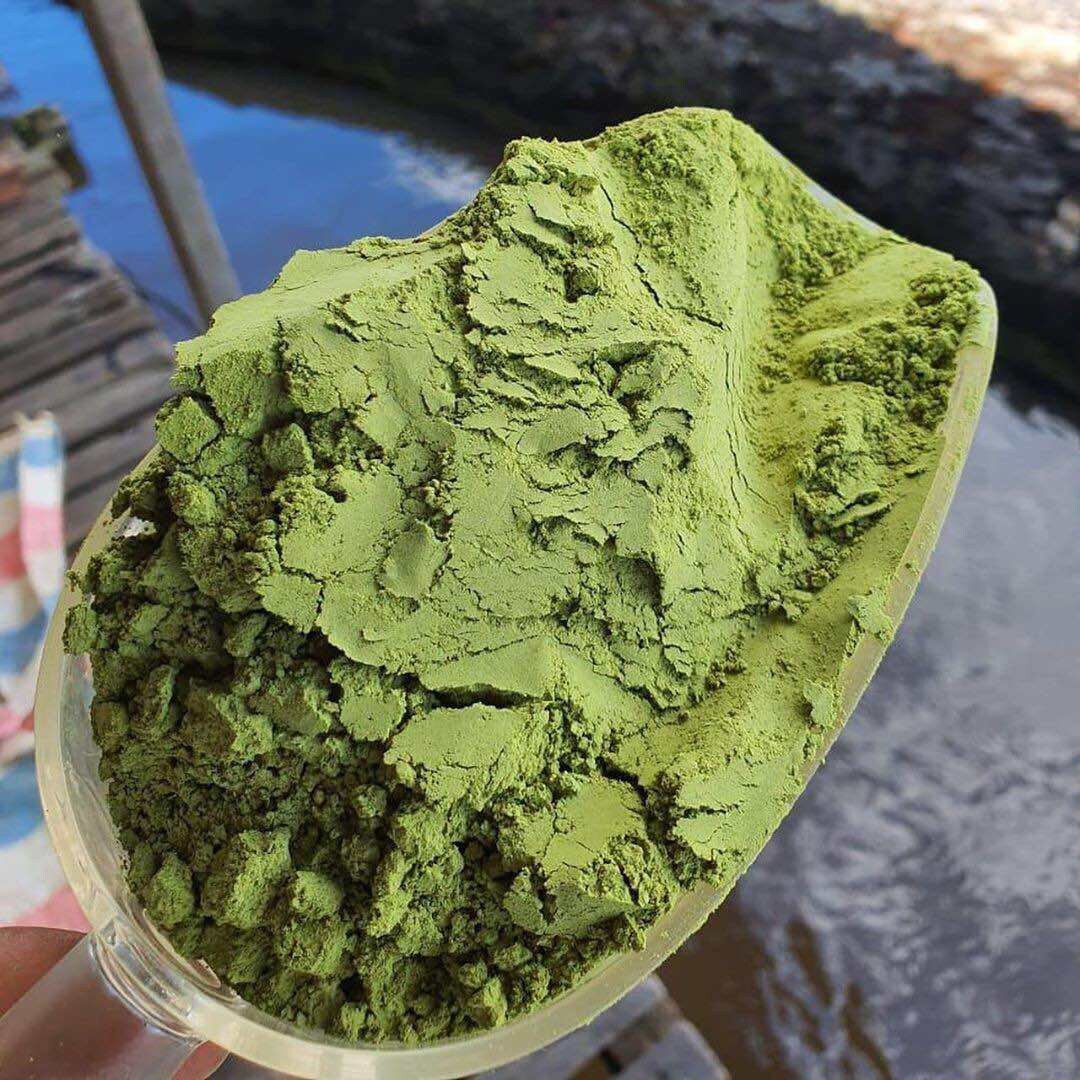 Daun Landep - Arachis Pintoi Leaf (Dried & Powder)
