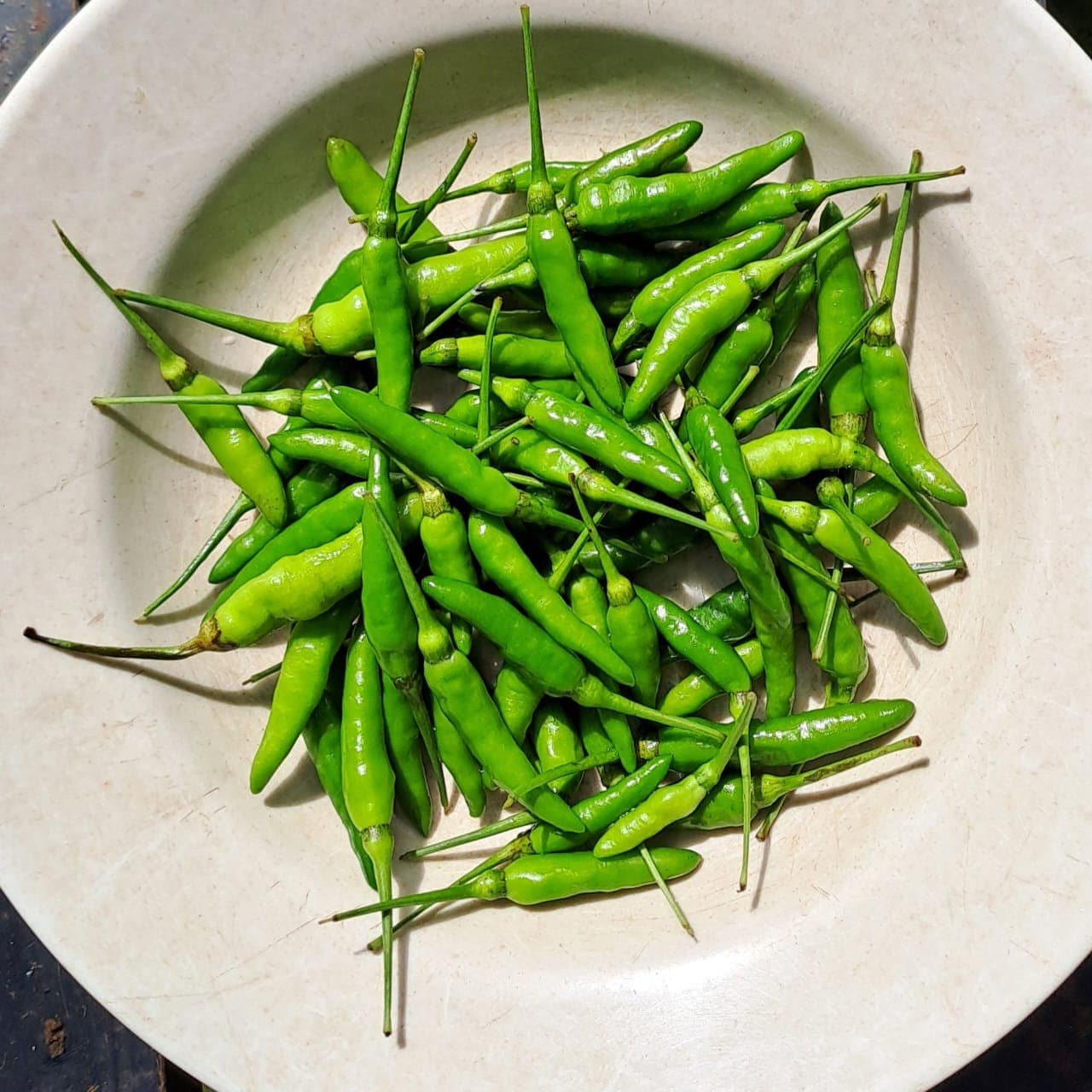 Cabai Rawit Hijau - Green Ceyenne Pepper (Capsicum frutescens L). (Dried and Powder)