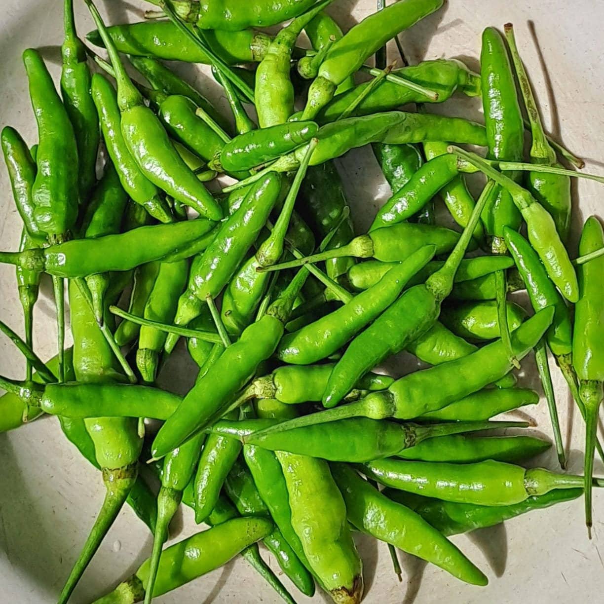 Cabai Rawit Hijau - Green Ceyenne Pepper (Capsicum frutescens L). (Dried and Powder)