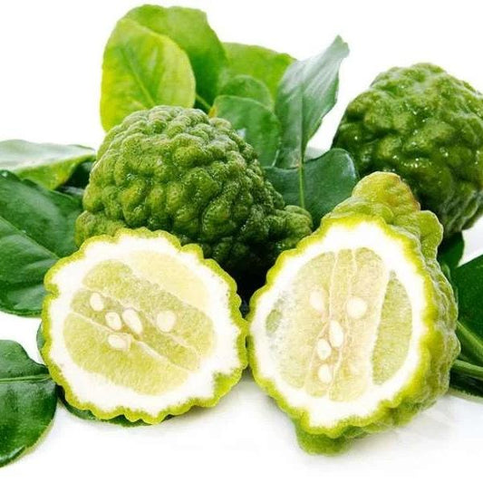 Kulit Jeruk Purut - Kaffir Lime Peel (Dried and Powder)