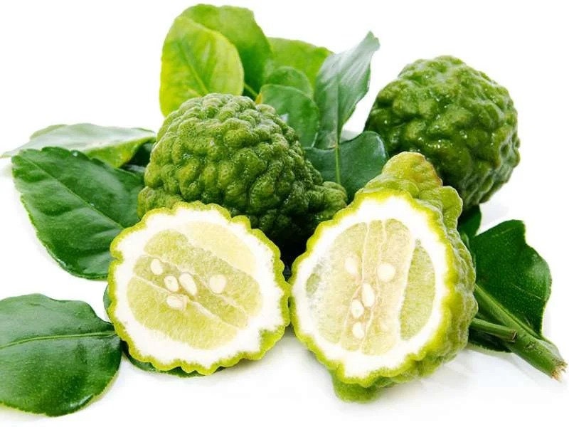 Jeruk Purut - Kaffir Lime (Citrus hystrix ) Dried
