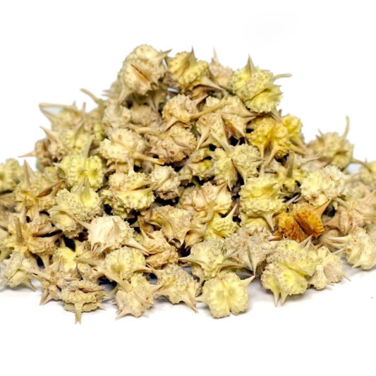 TRIBULUS (Tribulus Terrestris)