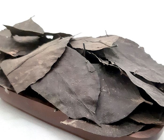 Daun Angsana - Pterocarpus Indicus Leaf (Dried and Powder)