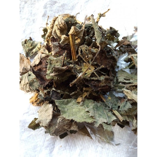Daun Sangketan - Heliotropium Indicum Leaf (Dried and Powder)