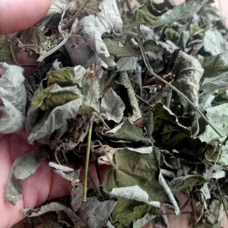 Daun Pulutan - Urena Lobata Leaf (Dried and powder)