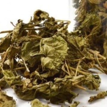 Daun Encok - Plumbago Zeylanica Leaf (Dried and Powder)