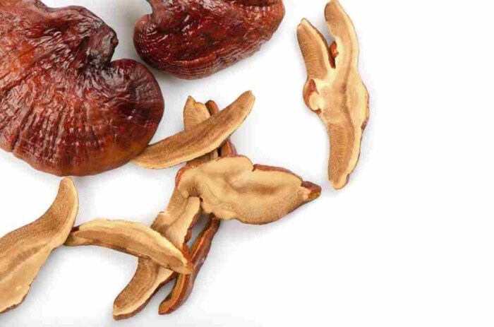 Jamur Lingzi Kering - Ganoderma Lucidum Dried