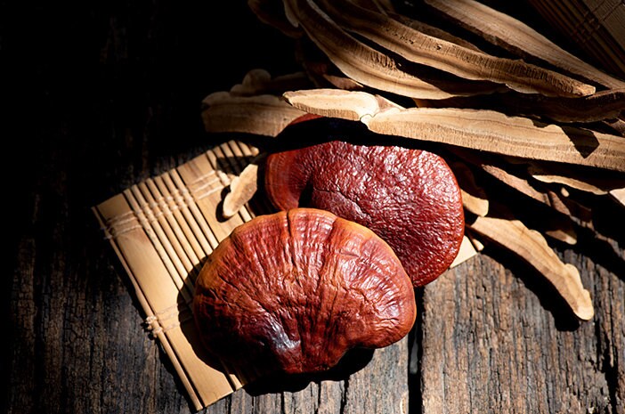 Jamur Lingzi Kering - Ganoderma Lucidum Dried