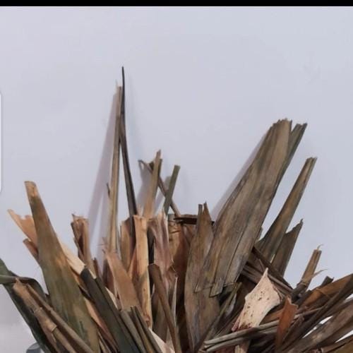 Daun Suji - Dracaena Angustifolia Leaf (Dried and Powder)