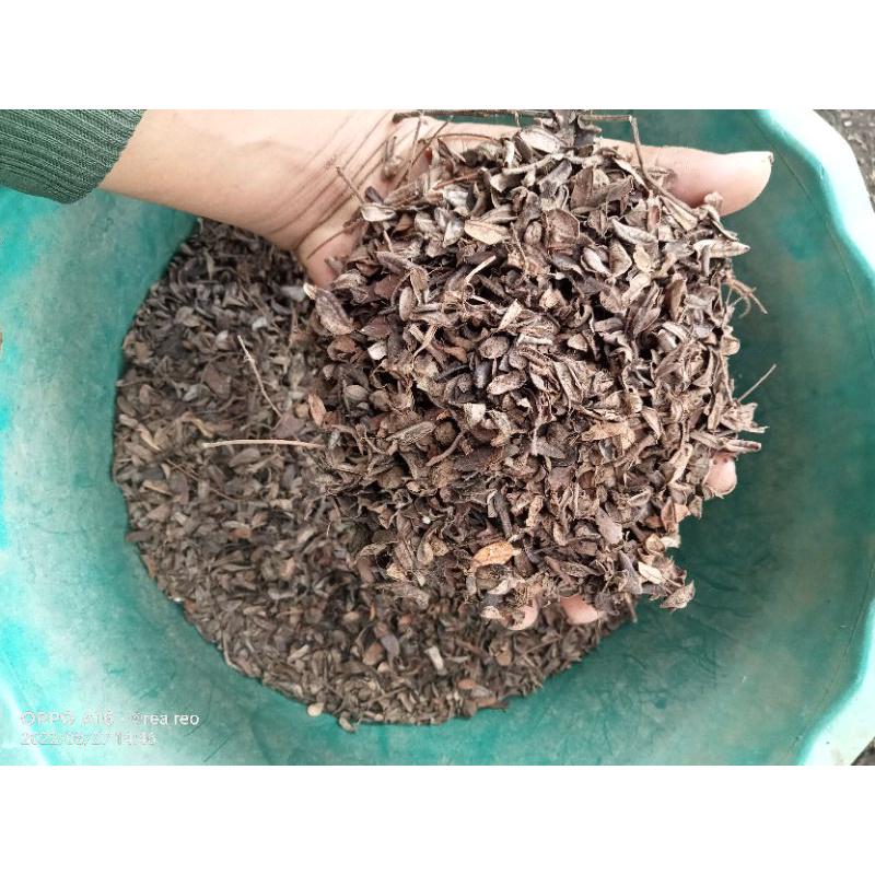 Daun Sengon Laut - Albizia Falcataria Leaf (Dried and Powder)