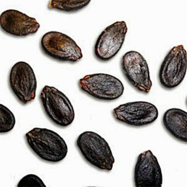 Biji Semangka/Watermelon Seeds - Citrullus Vulgaris (Dried and Powder)
