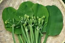 Daun Genjer - Limnocharis Flava Leaf (Dried/Powder)