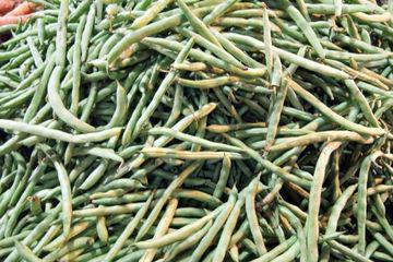 Buncis - Phaseolus Vulgaris  (Dried and Powder)