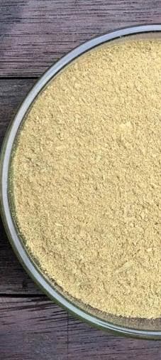 Buncis - Phaseolus Vulgaris  (Dried and Powder)