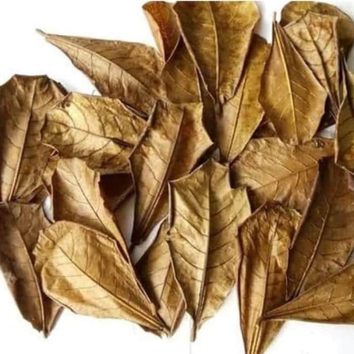 Daun Ketepeng Cina - Cassia alata Linn. Leaf (Powder and Dried)