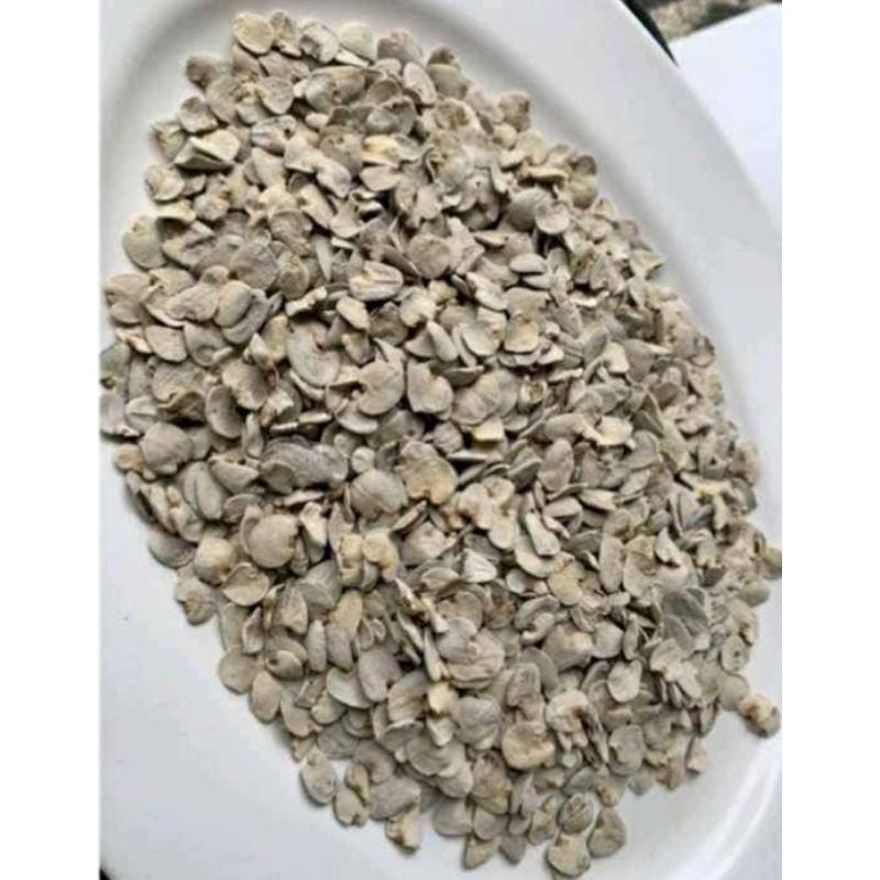 Biji Daruju Kering - Acanthus ilicifolius L. Dried Seed, 100 pcs