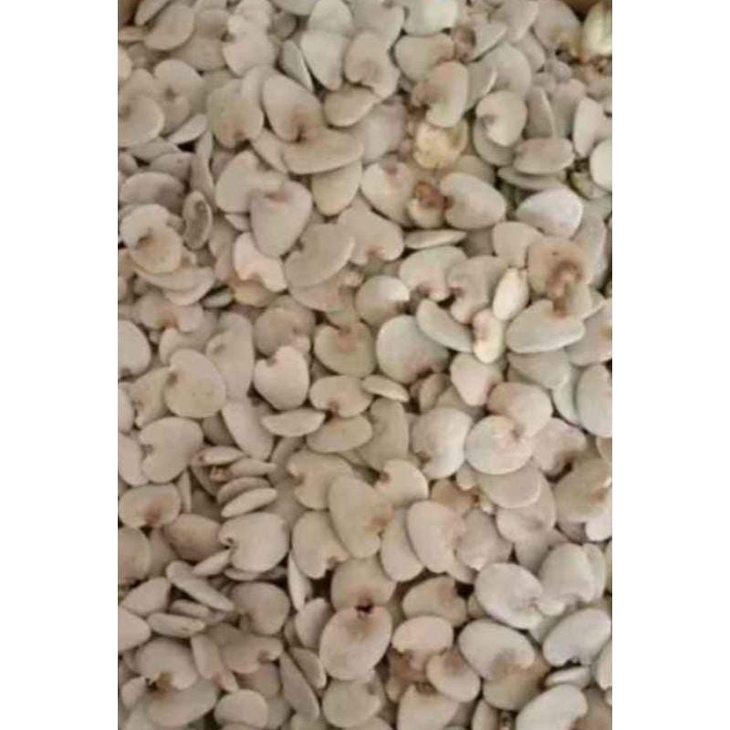 Biji Daruju Kering - Acanthus ilicifolius L. Dried Seed, 100 pcs