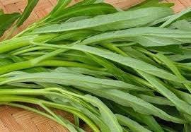 Daun Kangkung - Ipomoea Aquatica Forsk Leaf (Dried and Powder)