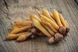Temu Kunci - Boesenbergia Pandurata (Dried and Powder)