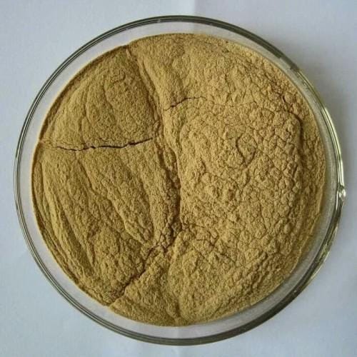 Temu Kunci - Boesenbergia Pandurata (Dried and Powder)