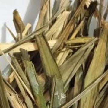 Daun Suji - Dracaena Angustifolia Leaf (Dried and Powder)