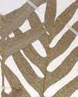 Daun Simbar Layangan - Drynaria Sparsisora (Dried and Powder)