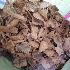 Akar Pule Pandak - Rauvolfia Serpentina Root (Dried and Powder)
