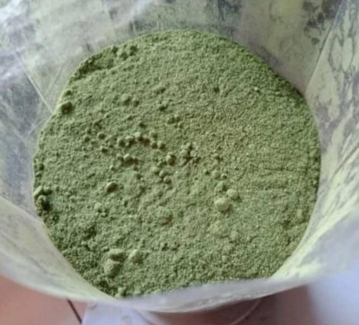 Daun Jarak Tintir - Jatropha Multifida L Leaf (Dried and Powder)
