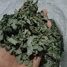 Daun Katuk - Sauropus Androgynus Leaf (Dried and Powder)