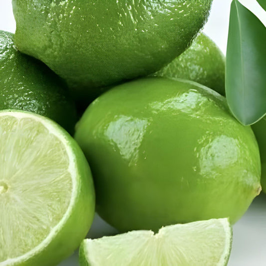 Jeruk Nipis Kering - Citrus aurantifolia Dried