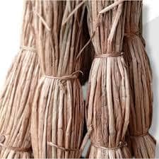 Tangkai Eceng Gondok Kering - Eichornia Crassipes Solms Dried