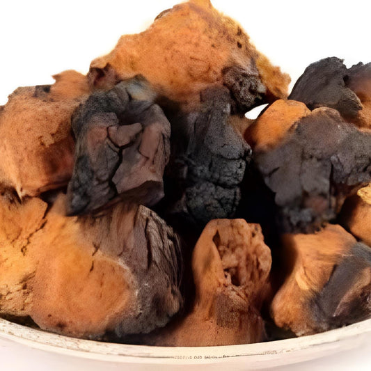 Jamur Chaga Bubuk (Chaga Mushroom Powder)