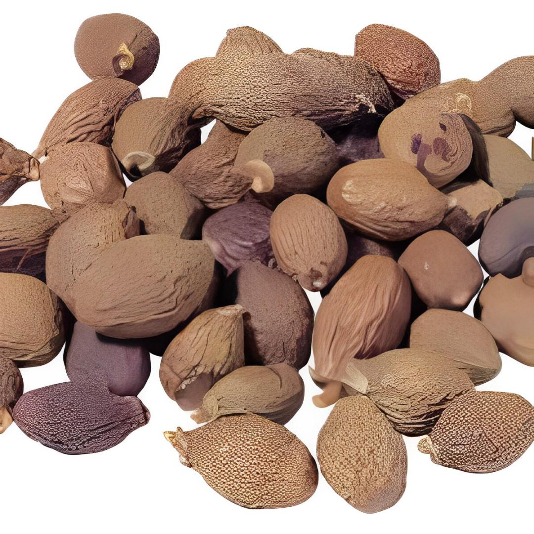 Buah Tempayang / Bentayang Kering - Fismiana Affinis Dried