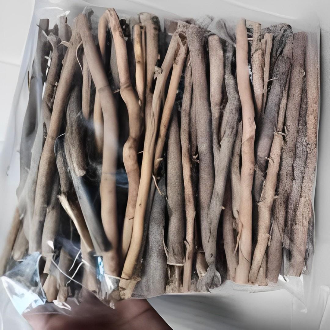 Akar Aren Kering (Palm Root Dried)