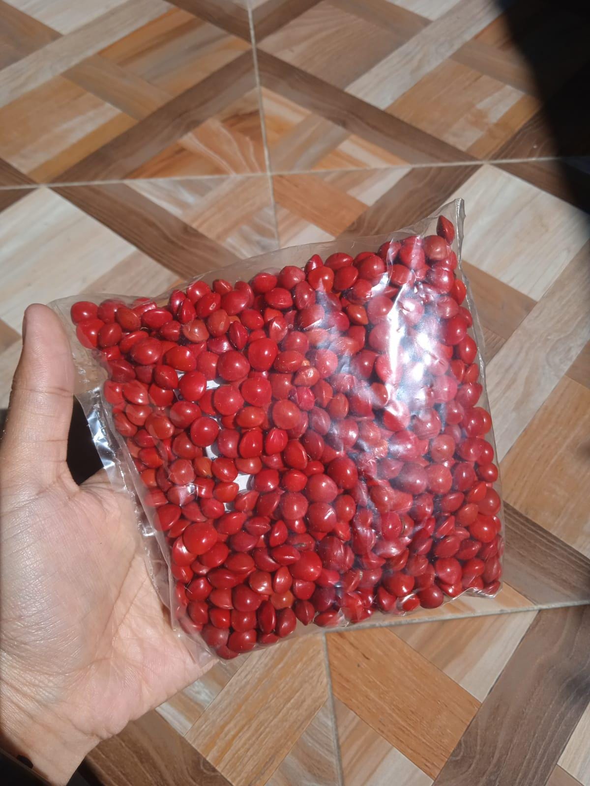Biji Saga Merah Kering (Red Saga Adenanthera pavonina Seeds Dried)